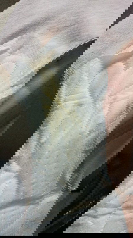 สอบถามผู้รู้ทีค่ะใช่อาการน้ำเดินมั้ยคะ 36+2วีคค่ะ