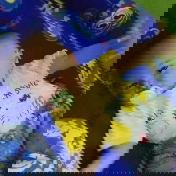 Hay aku gibran umurku 8 bulan 13hari.  Apkh ada yng seumuran ku?  Udh bisa apa ja ni kalian salken y