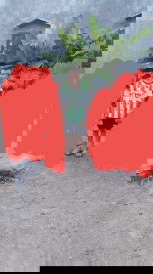 "Cuộc sống vô thường , sống đó chết đó " . Hãy trân trọng từng giây từng phút mình đang có.