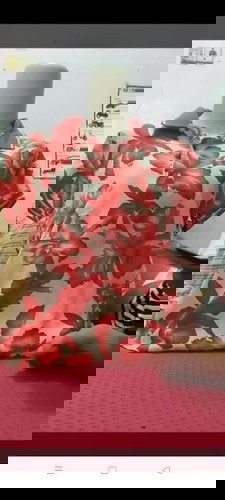 Sekedar curhat dan berbagi pengalamn bund.