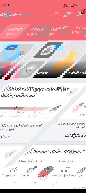 Còn yêu của mẹ