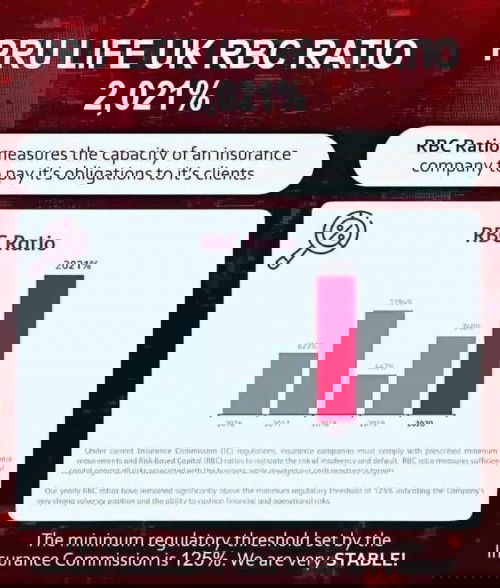 Life Insurance Agent