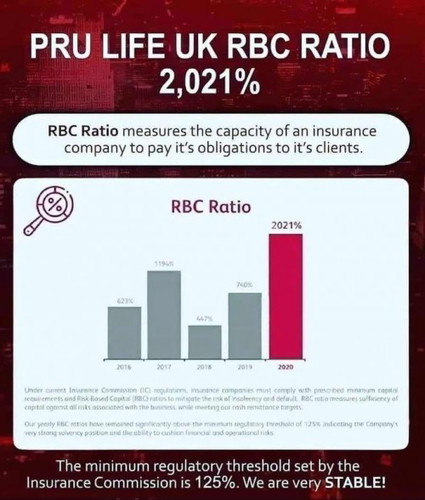 Life Insurance Agent