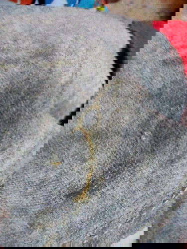 สงสัยอาการมูกออก