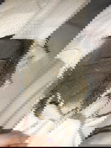 Baby poop 1month old