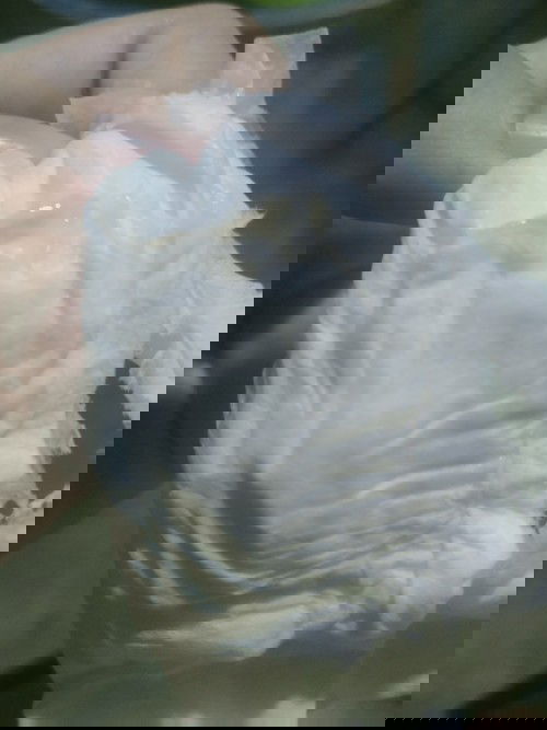 มูกแบบนี้ใกล้ยังค่ะ 39+5