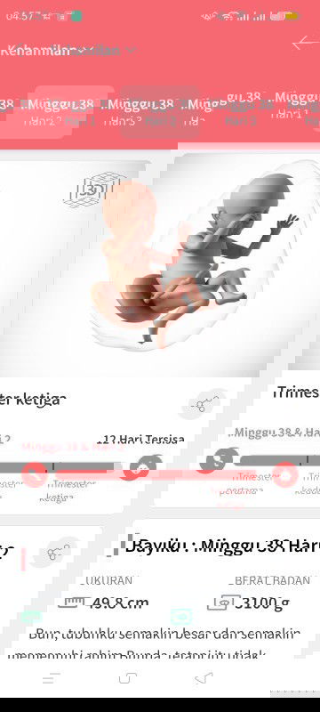 Minta doanya bunda smoga si ddk segera launching dgn sehat dan selamat. Amin