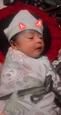 Babyboylaunching