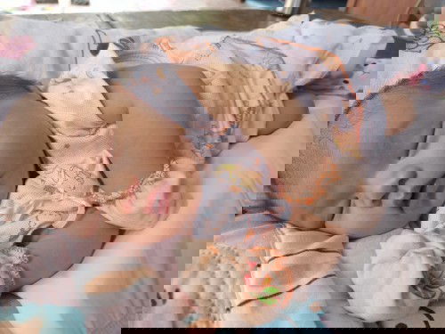 ข้อคำแนะนำ