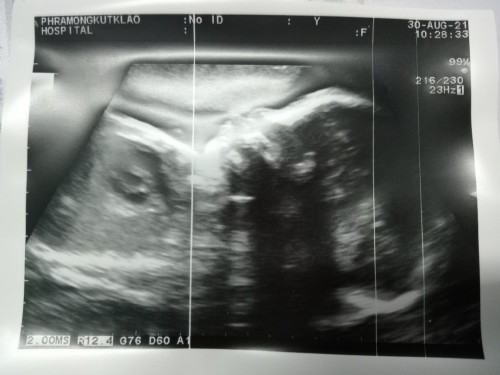 เจ้าความรัก เจ้าน่านฟ้า