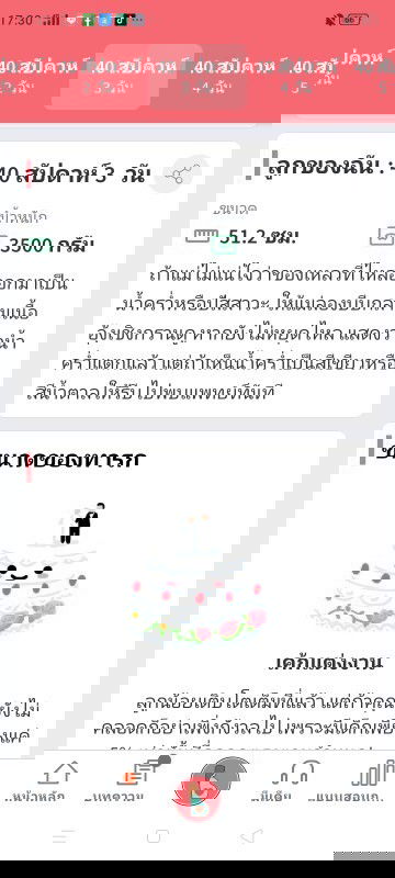 40 สัปดาห์ 3วัน