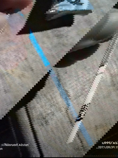 Telat haid tapi GG positiv