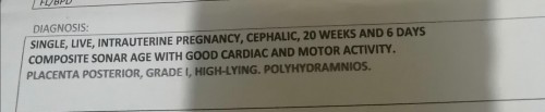 Ask po. Ano. Po ibig sabihin ng POLYHYDRAMNIOS? thank you po sa makakasagot