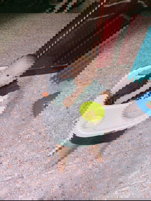 Bổ sung chất cho bé 19 tháng