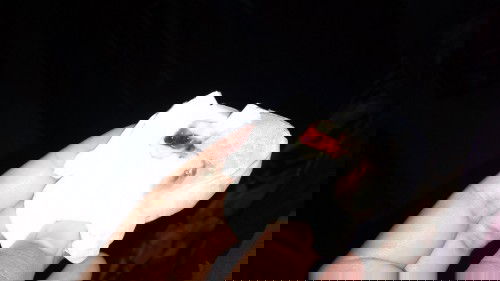 Keluar lendir campur darah