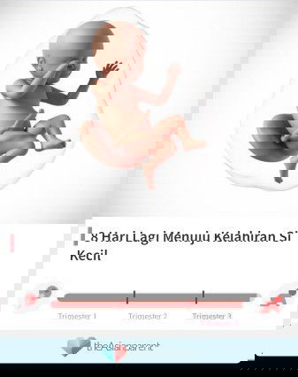 Menunggu gelombang cinta