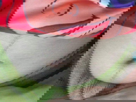 ขอสอบถามหน่อยค้ะ