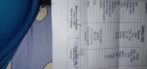 Trichomonas vaginalis ?