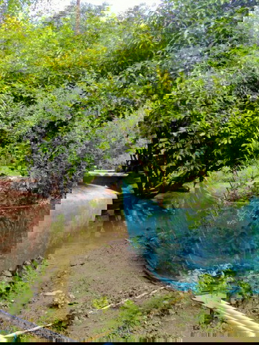 แม่คะช่วยตอบหน่อย