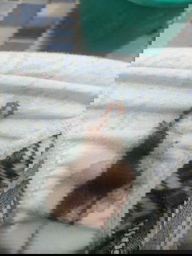 Dark brown spotting after I.E.