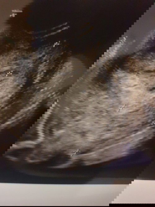 Setelah setahun yang lalu sempet keguguran dan harus di kuret