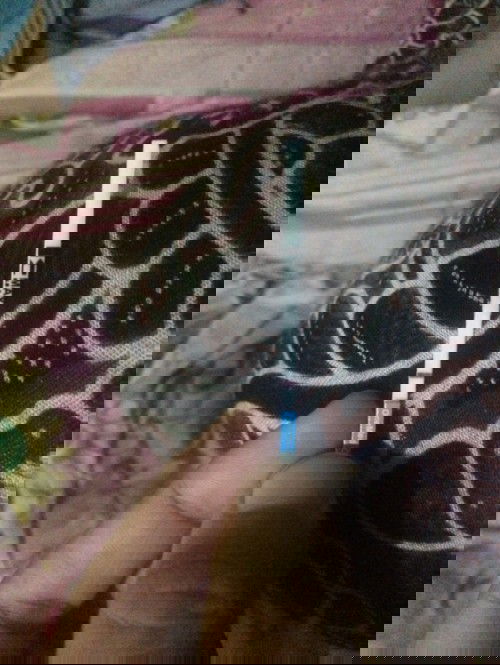 Telat haid tespek tetap negatif