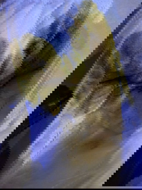 Bab hijau yang pertama