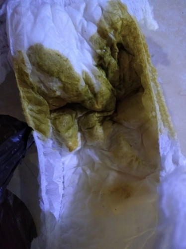 Bab hijau yang pertama
