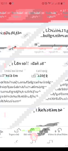 Có mon nào giống e k?