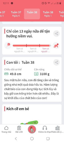 Có mon nào giống e k?