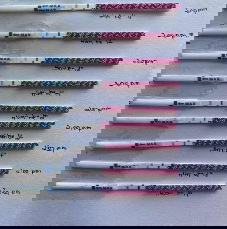 result OPK