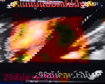 ทีม พ.ย.จ้า💖