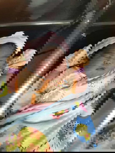 ต้าวอ้วนก่อนกำหนดถึงเวลาแตกสักทีความเจ็บปวดที่งดงาม