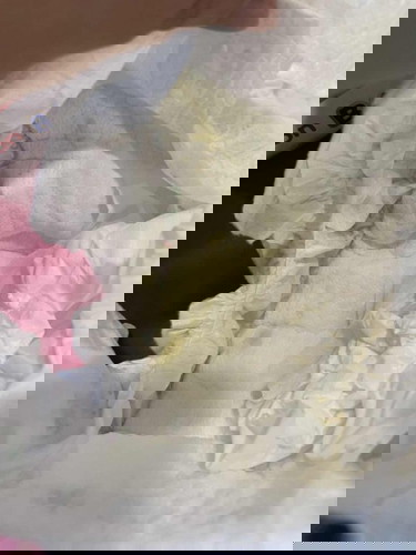 One month baby girl discharge