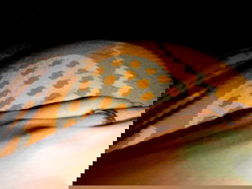 Fakta/mitos bengkuang