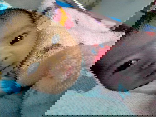 แม่ๆธีมสิงหาคม64