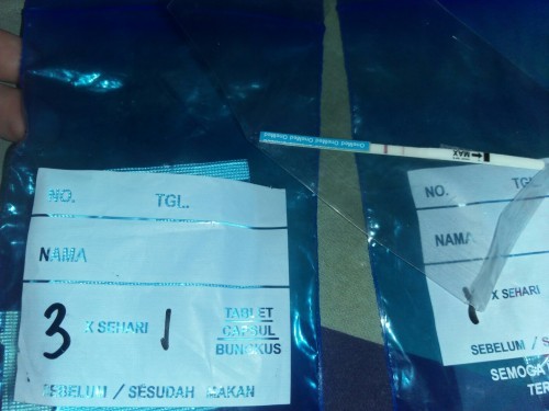 Tes kehamilan