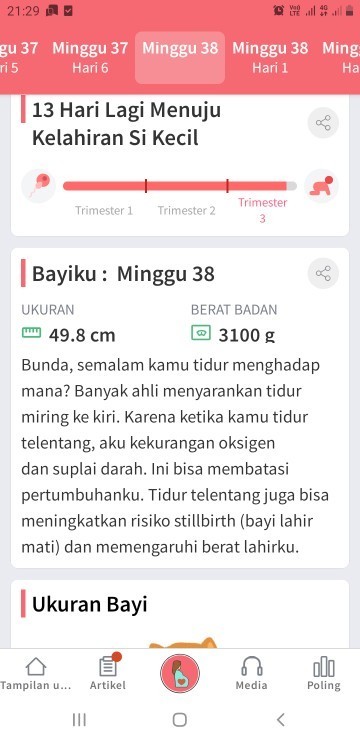 38minggu kehamilan