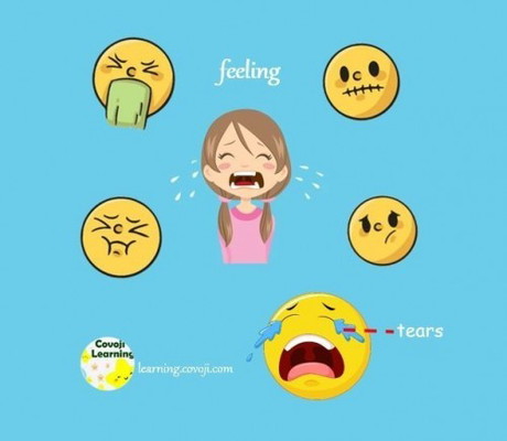 Why do we cry?