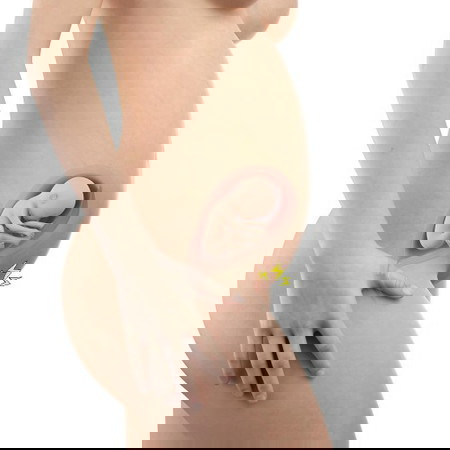 ธีมมกราคม65