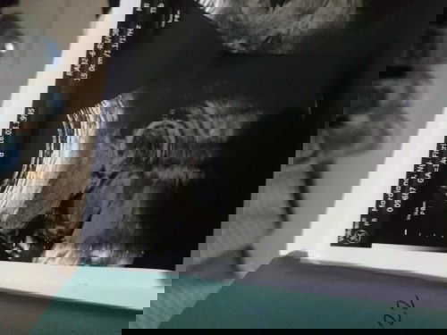 Cara memperbanyak air ketuban