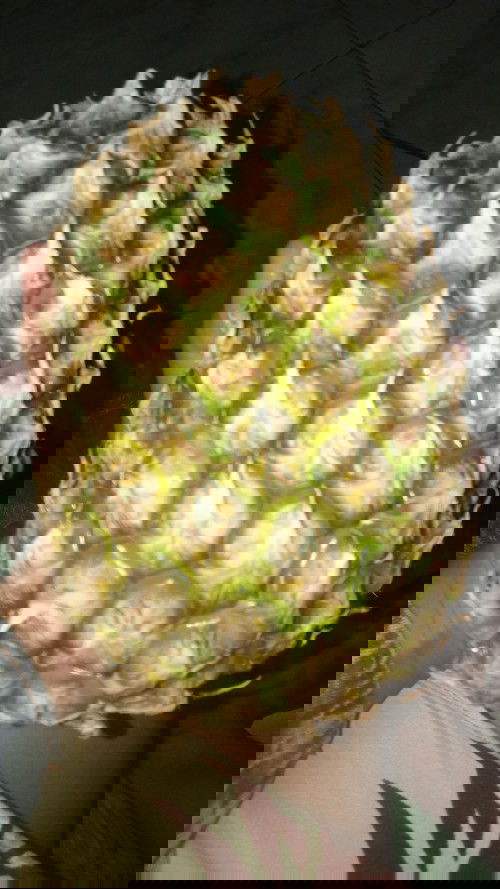 Makan nanas hamil 37minggu..