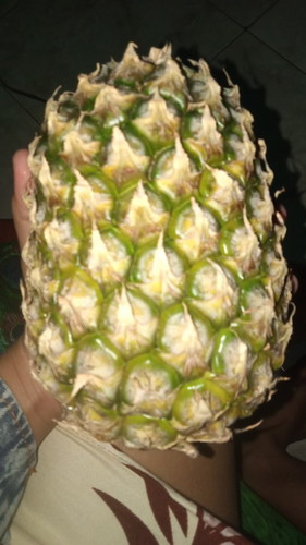 Makan nanas hamil 37minggu..