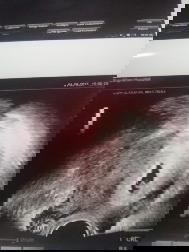 ใช้น้องกรือเปล้าา