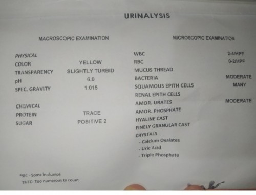 Urinalysis result,, 5 months pregnant