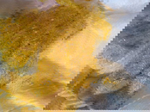 Jangan dilihat jika jijik