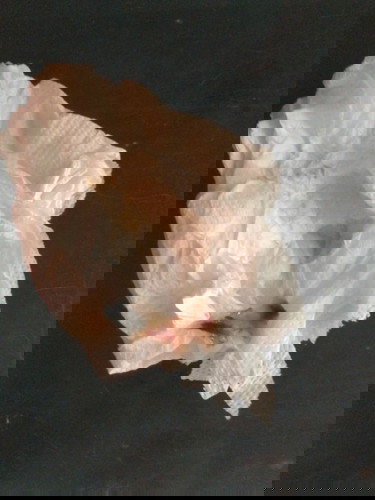 หลังจากที่หมอกระตุ้นมดลูกมีแบบนี้ออกมาอีกนานใหมคะกว่าคลอด