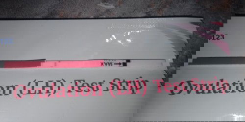 Tes ovulasi