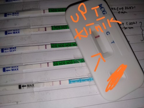 UPT positif scan ultrasound tiada kantung , period delay 4D,kalau ikot kiraan last period #4W2D