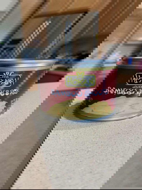 Can you eat canned bamboo during pregnancy?